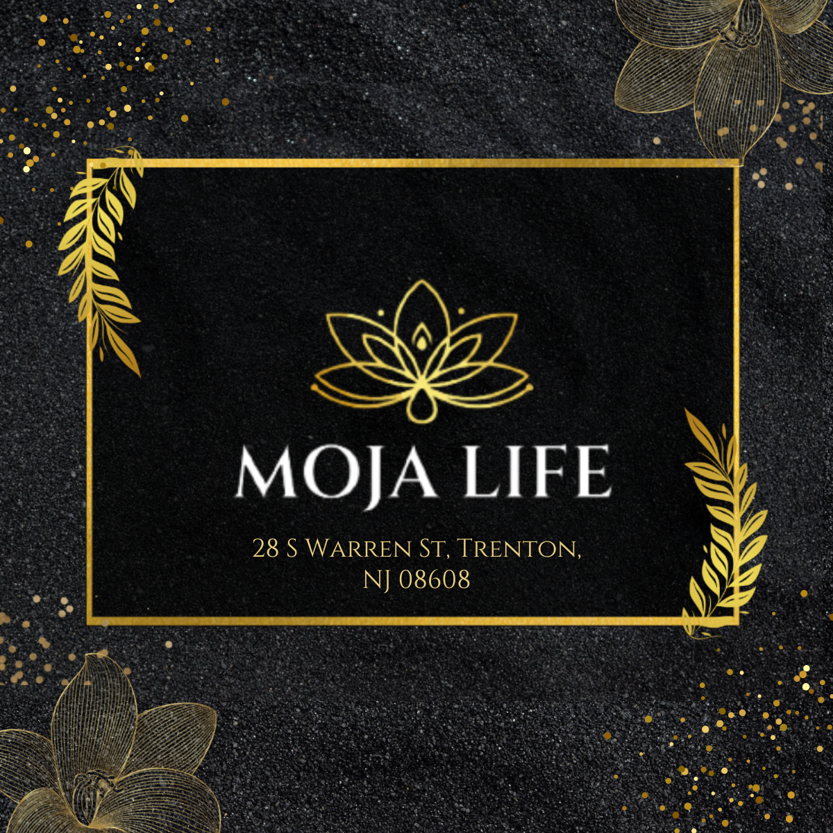 Moja Life Trenton Dispensary